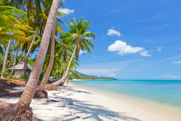 Scenic view of Koh Samui